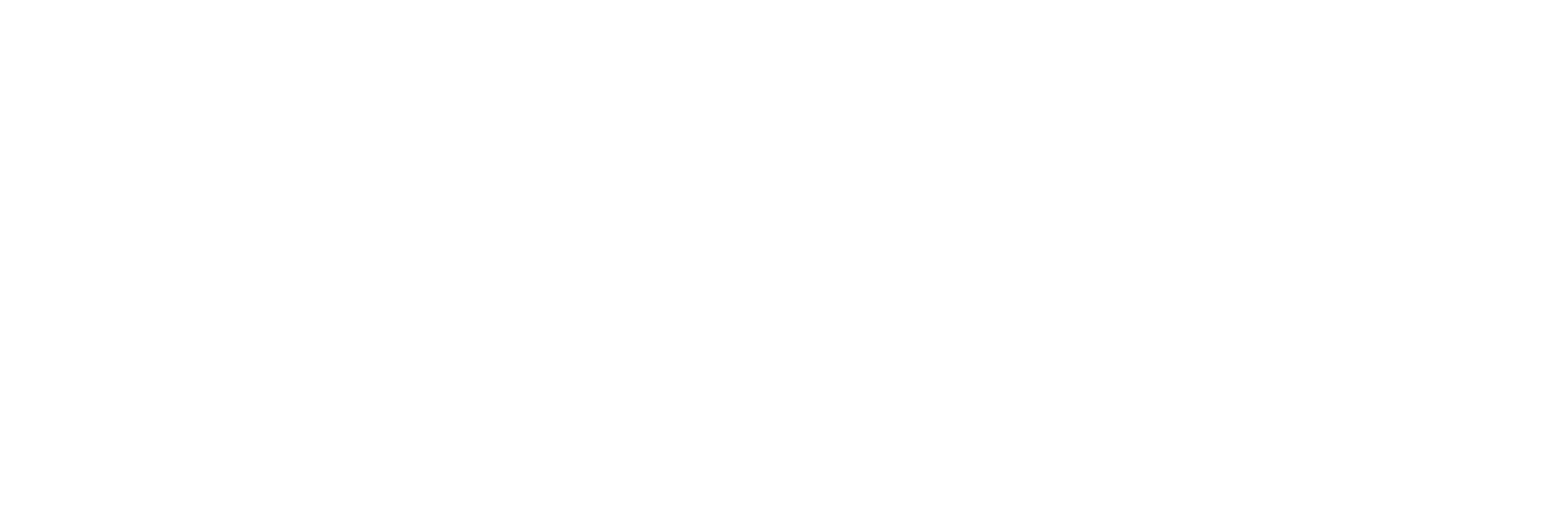 wock-pharma-high-resolution-logo-white-transparent